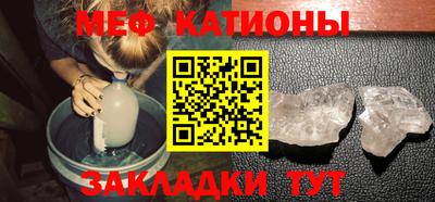 прущие грибы Абакан