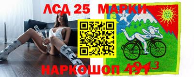 прущие грибы Абакан