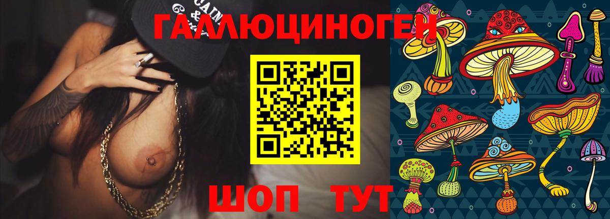 Галлюциногенные грибы Cubensis Истра