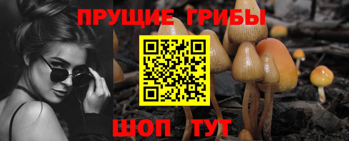 Галлюциногенные грибы MAGIC MUSHROOMS  Вход с VPN  Галлюциногенные грибы прущие грибы  Истра 
